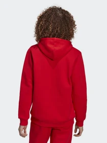 Худи и свитшоты Adidas Orginals Adicolor Essentials Trefoil модель HG3900 Фото