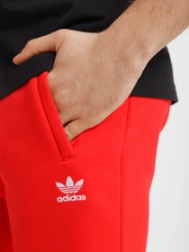 Брюки Adidas Adicolor Essentials Trefoil модель HG3904 Фото