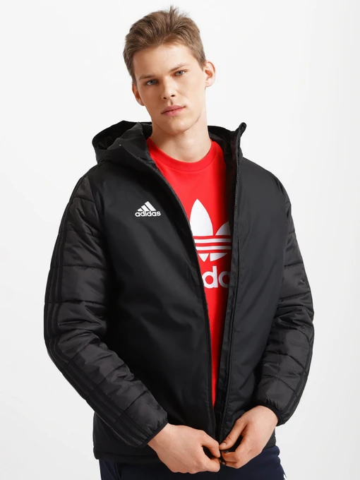 Куртки и дубленки Adidas Winter 18 Performance модель BQ6602 Фото