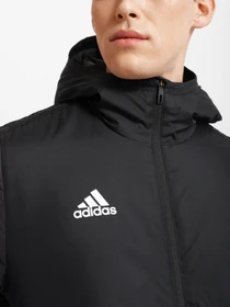 Куртки и дубленки Adidas Winter 18 Performance модель BQ6602 Фото