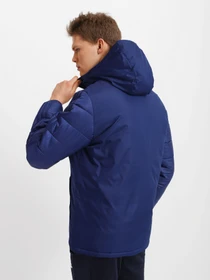 Куртки та дублянки Adidas Winter 18 Performance модель CV8271 Фото