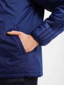 Куртки та дублянки Adidas Winter 18 Performance модель CV8271 Фото