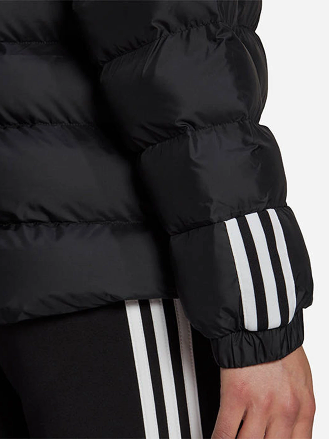 Куртки та дублянки Adidas Itavic 3-Stripes модель GT1710 Куртки та дублянки Adidas Itavic 3-Stripes модель GT1710 Фото