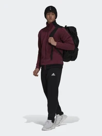 Брюки Adidas Sportswear Z.N.E. модель GT3743 Фото