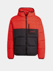 Куртки и дубленки Adidas Adventure модель H13572 Фото