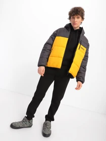 Куртки та дублянки Adidas Adventure модель H13573 Фото