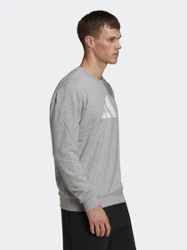 Худі та світшоти Adidas 3Bar Crew модель HA1393 Фото