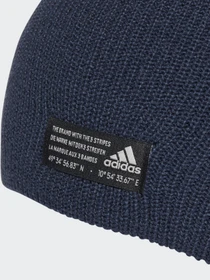 Шапки та кепки Adidas PERFORMANCE модель GS2114 Фото