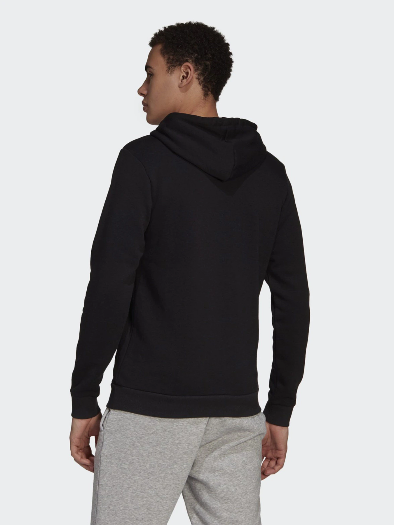 Худи и свитшоты Adidas ESSENTIALS BIG LOGO модель GK9220 Худи и свитшоты Adidas ESSENTIALS BIG LOGO модель GK9220 Фото