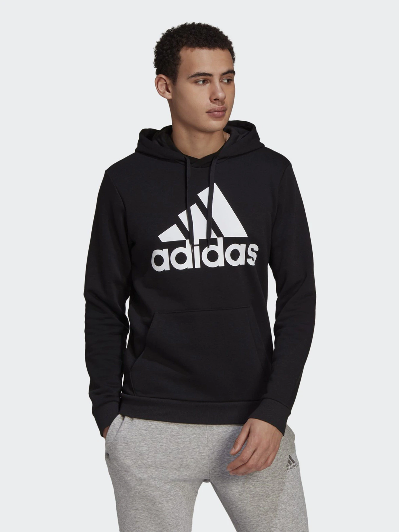 Худи и свитшоты Adidas ESSENTIALS BIG LOGO модель GK9220 Худи и свитшоты Adidas ESSENTIALS BIG LOGO модель GK9220 Фото