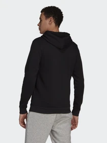 Худи и свитшоты Adidas ESSENTIALS BIG LOGO модель GK9220 Фото