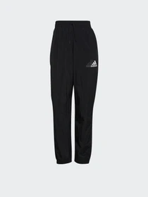Штани Adidas Brand Love Repeat модель GS1355 Фото
