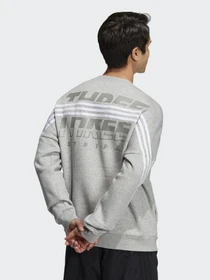 Худи и свитшоты Adidas SPORTSWEAR модель GT6349 Фото