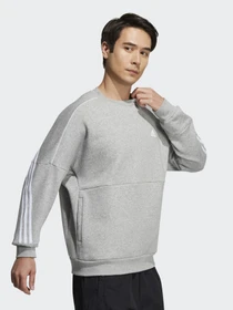 Худи и свитшоты Adidas SPORTSWEAR модель GT6349 Фото