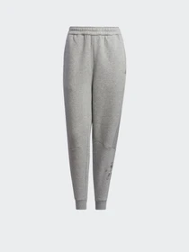 Брюки Adidas Sportswear модель GT6366 Фото