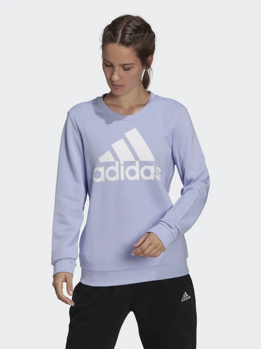 Худи и свитшоты Adidas  Essentials Relaxed Logo модель H07791 Фото