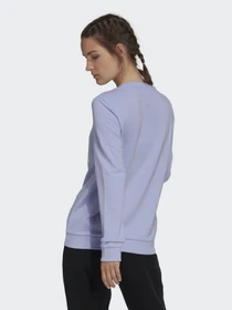 Худі та світшоти Adidas Essentials Relaxed Logo модель H07791 Фото