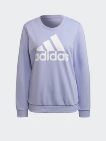 Худі та світшоти Adidas Essentials Relaxed Logo модель H07791 Фото