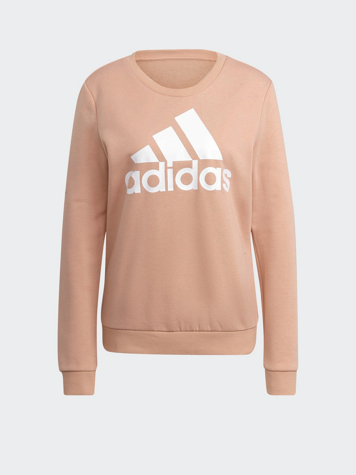 Худі та світшоти Adidas Essentials Relaxed Logo модель H07794 Фото
