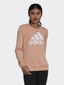 Худі та світшоти Adidas Essentials Relaxed Logo модель H07794 Фото