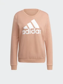 Худі та світшоти Adidas Essentials Relaxed Logo модель H07794 Фото
