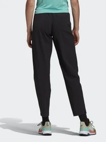 Брюки Adidas Terrex Liteflex Hiking модель GI7176 Фото