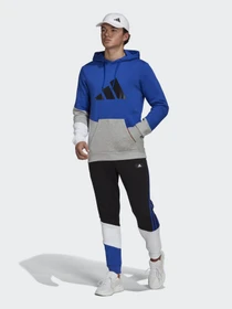 Брюки Adidas Sportswear Colorblock модель H39761 Фото