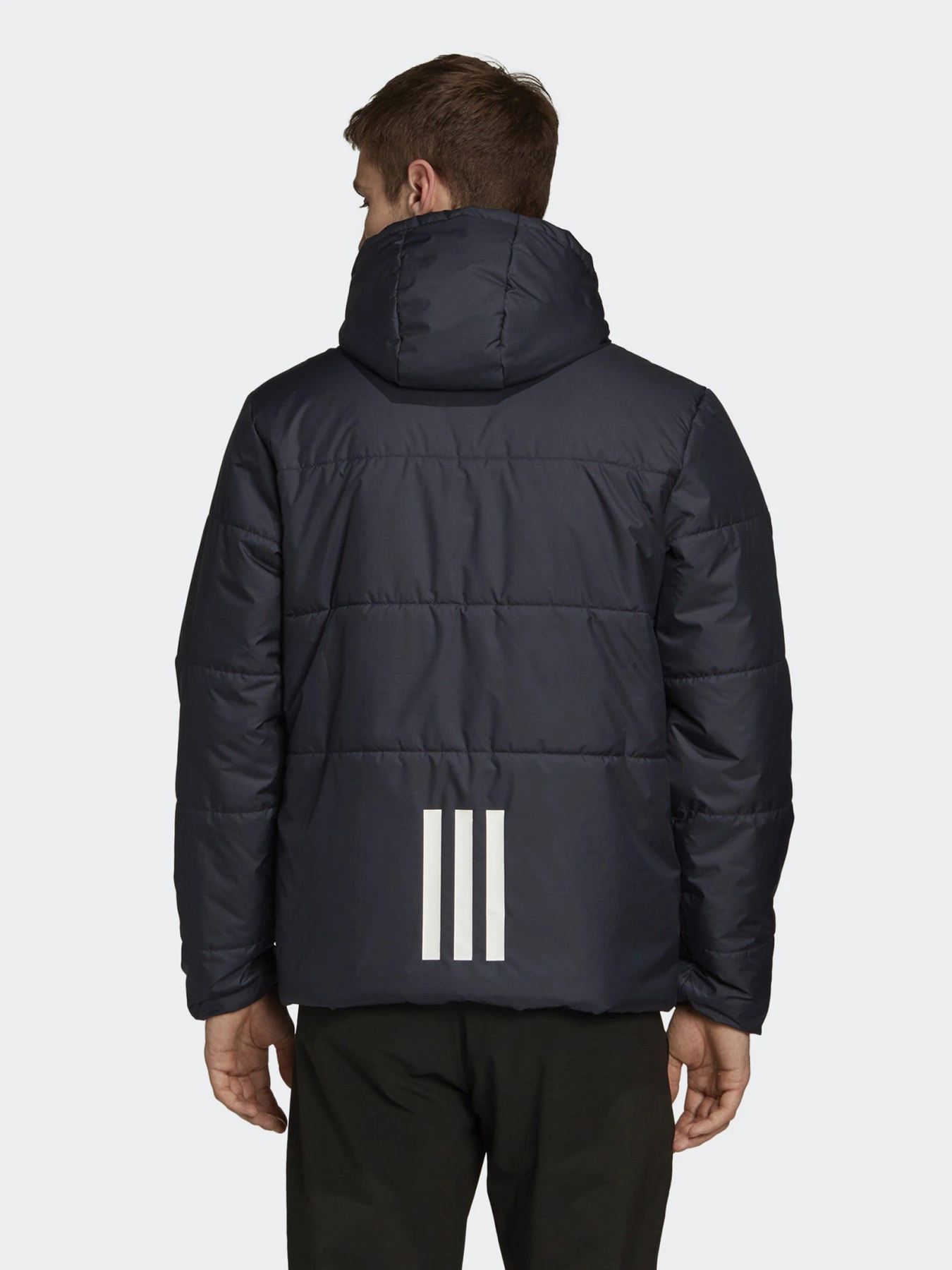Куртки и дубленки Adidas BSC модель FT2537 Куртки и дубленки Adidas BSC модель FT2537 Фото