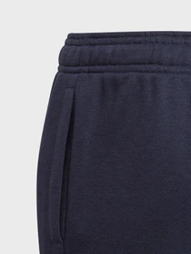 Брюки Adidas ESSENTIALS Performance модель GN4036 Фото