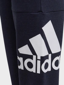 Брюки Adidas ESSENTIALS Performance модель GN4036 Фото