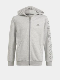 Худі та світшоти Adidas Essentials модель GN4039 Фото