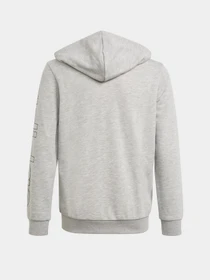 Худі та світшоти Adidas Essentials модель GN4039 Фото