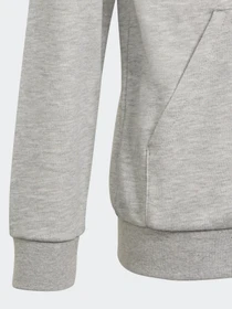Худі та світшоти Adidas Essentials модель GN4039 Фото