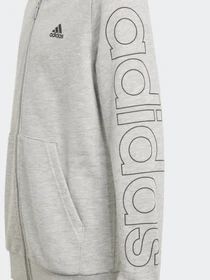 Худі та світшоти Adidas Essentials модель GN4039 Фото