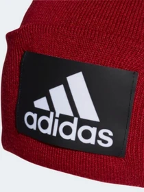Шапки та кепки Adidas модель DZ8931 Фото