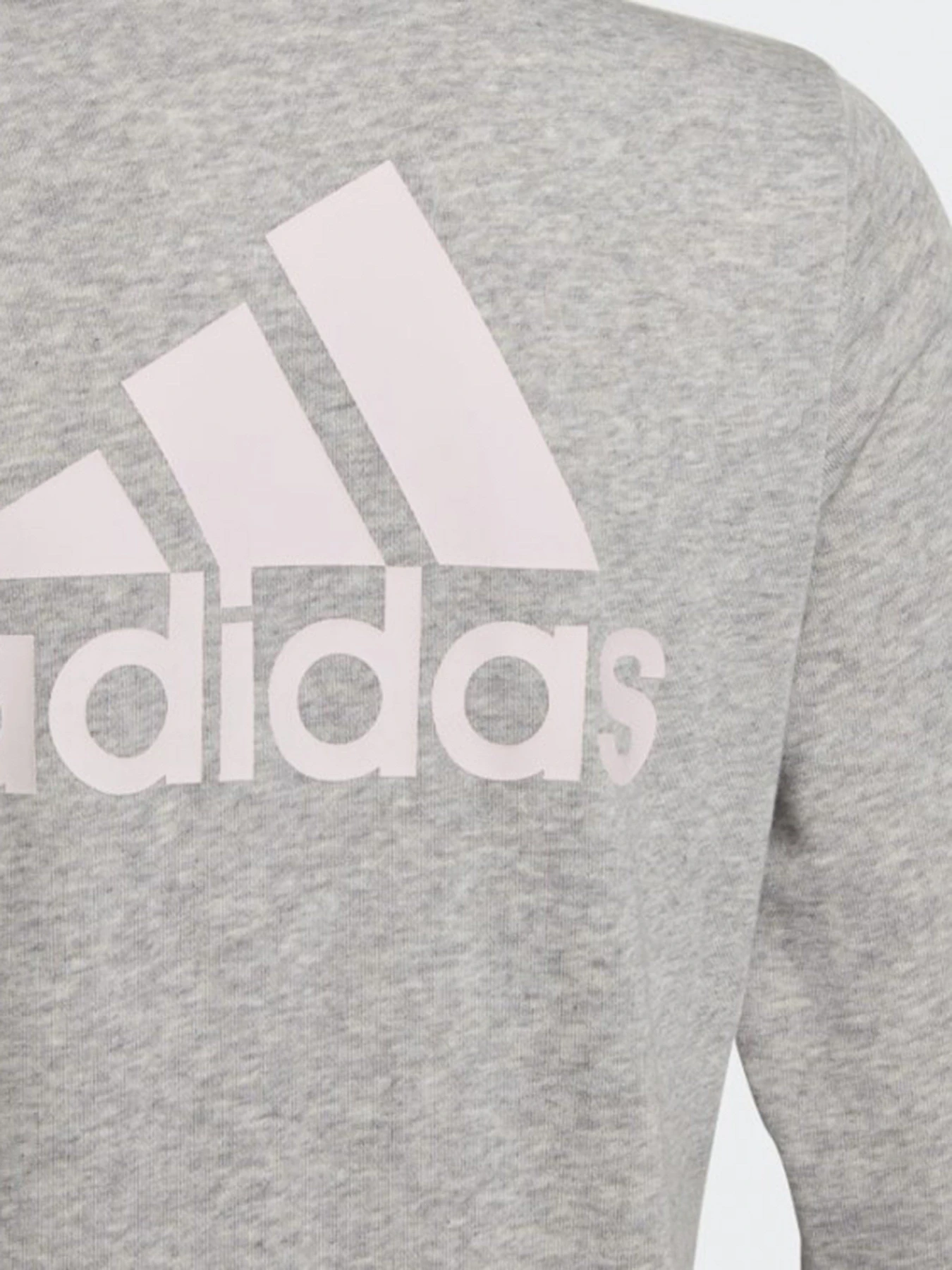 Худи и свитшоты Adidas Essentials модель GS2172 Фото
