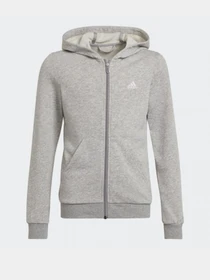 Худи и свитшоты Adidas Essentials модель GS2172 Фото