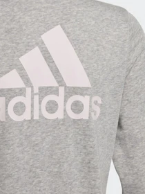 Худи и свитшоты Adidas Essentials модель GS2172 Фото