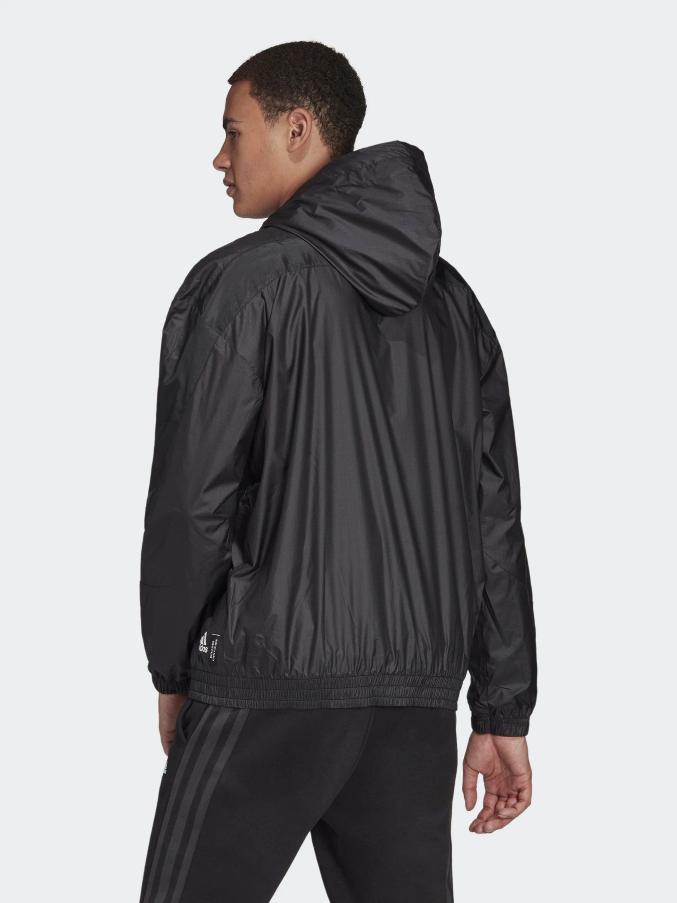 Куртки и дубленки Adidas Sportswear W.N.D. модель H42037 Куртки и дубленки Adidas Sportswear W.N.D. модель H42037 Фото