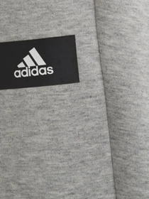 Брюки Adidas Future Icons 3-Stripes модель H44338 Фото