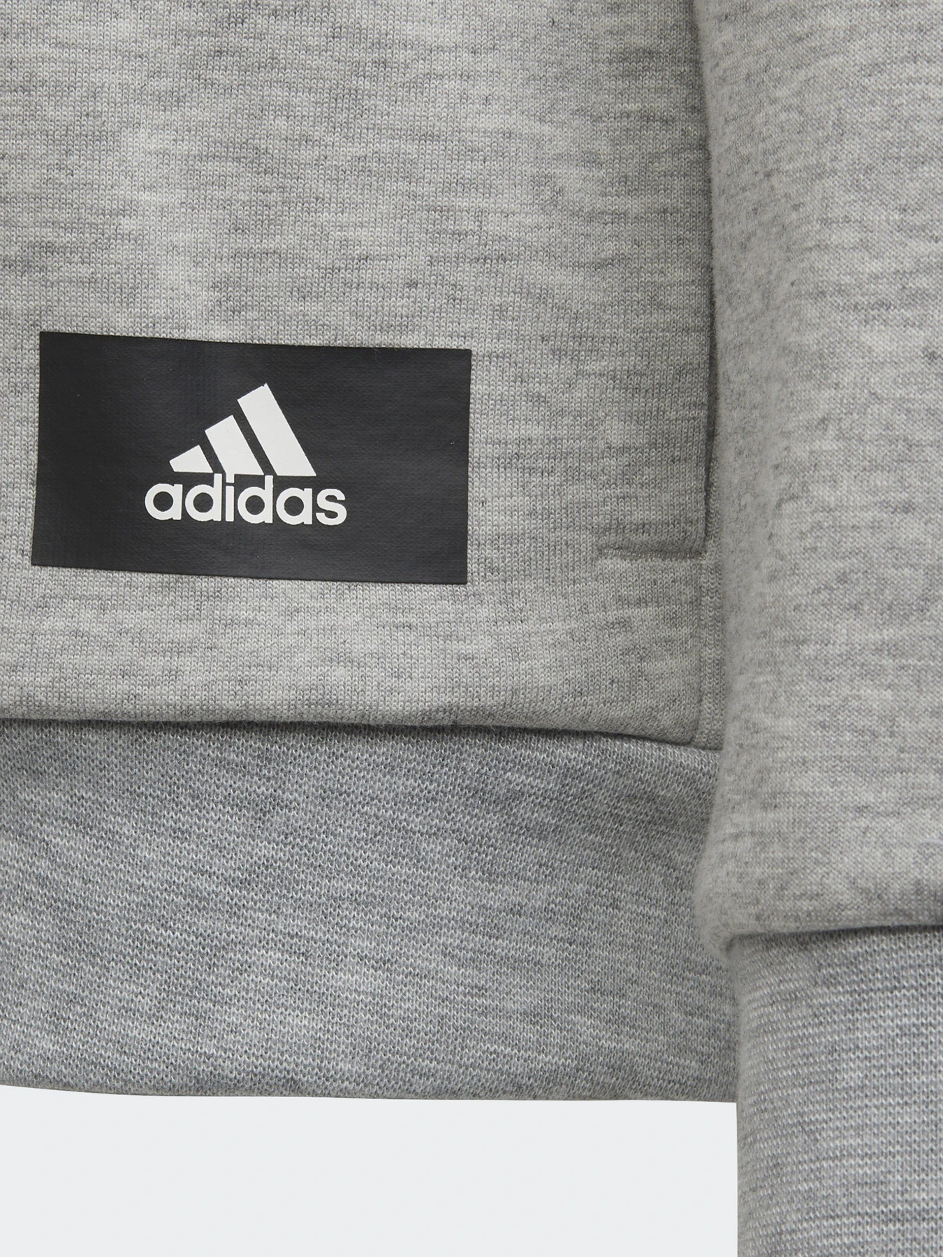 Худі та світшоти Adidas Future Icons 3-Stripes модель H44344 Фото