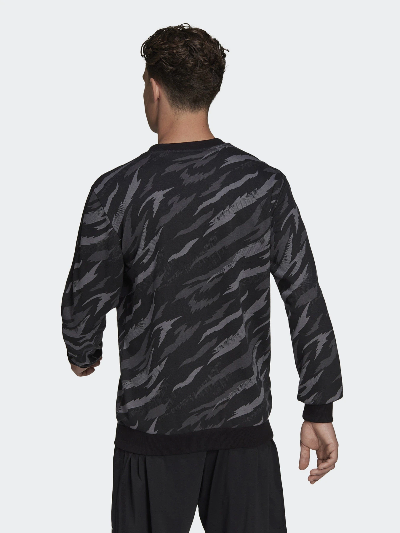 Худи и свитшоты Adidas Essentials Camo-Print модель HE1873 Худи и свитшоты Adidas Essentials Camo-Print модель HE1873 Фото