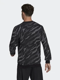 Худи и свитшоты Adidas Essentials Camo-Print модель HE1873 Фото