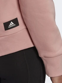 Худи и свитшоты Adidas Sportswear Future Icons Feel модель HF1796 Фото