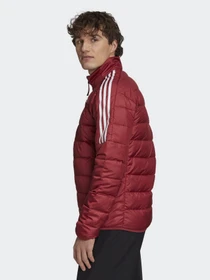 Куртки та дублянки Adidas ESSENTIALS модель GH4595 Фото