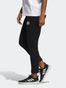 Брюки Adidas Graphic Snap модель GJ6557 Фото