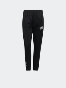 Брюки Adidas Graphic Snap модель GJ6557 Фото