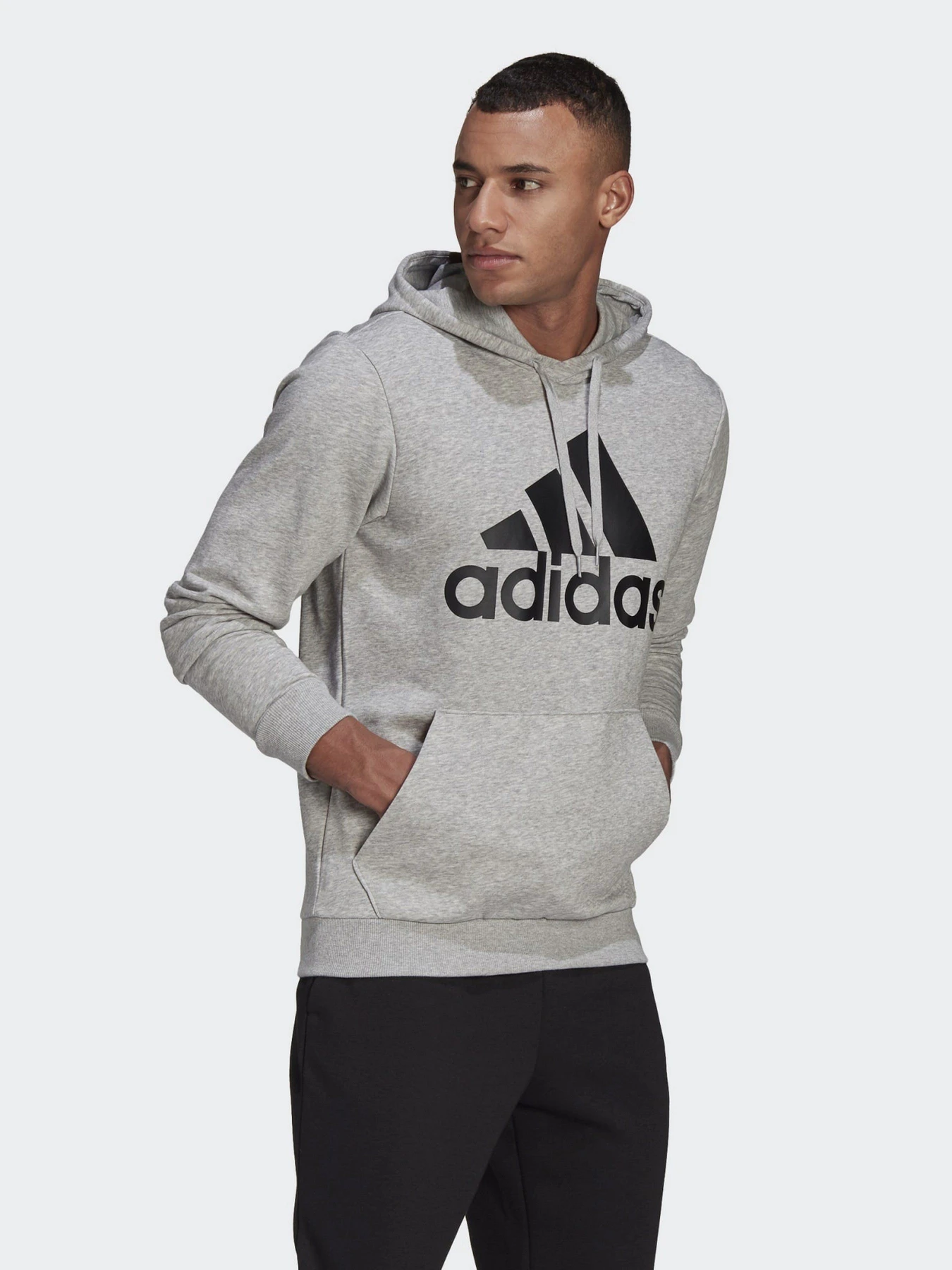 Худи и свитшоты Adidas ESSENTIALS BIG LOGO модель GK9541 Фото