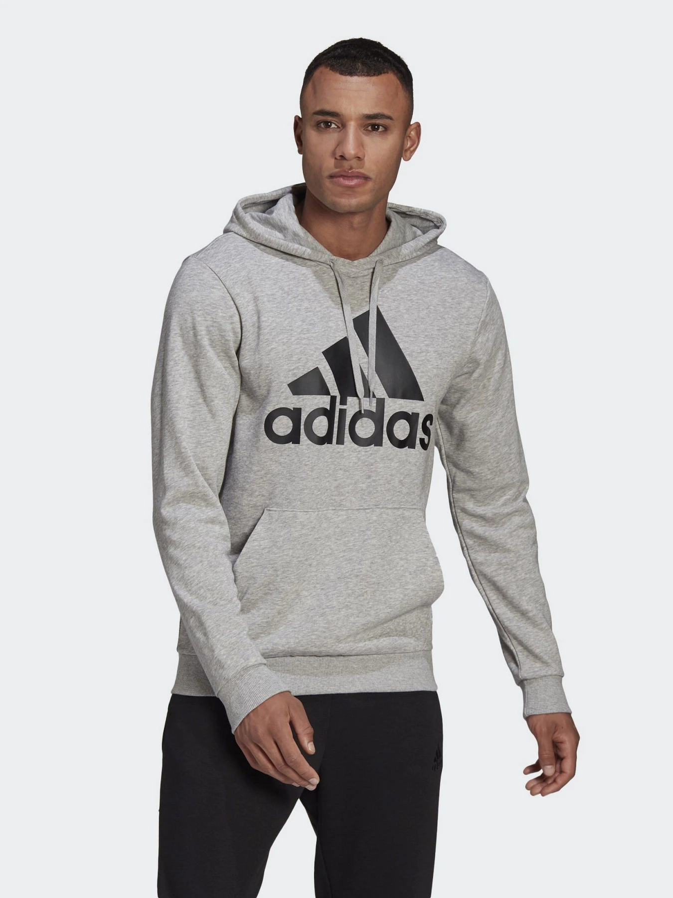 Худи и свитшоты Adidas ESSENTIALS BIG LOGO модель GK9541 Фото