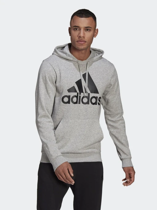 Худи и свитшоты Adidas ESSENTIALS BIG LOGO модель GK9541 Фото